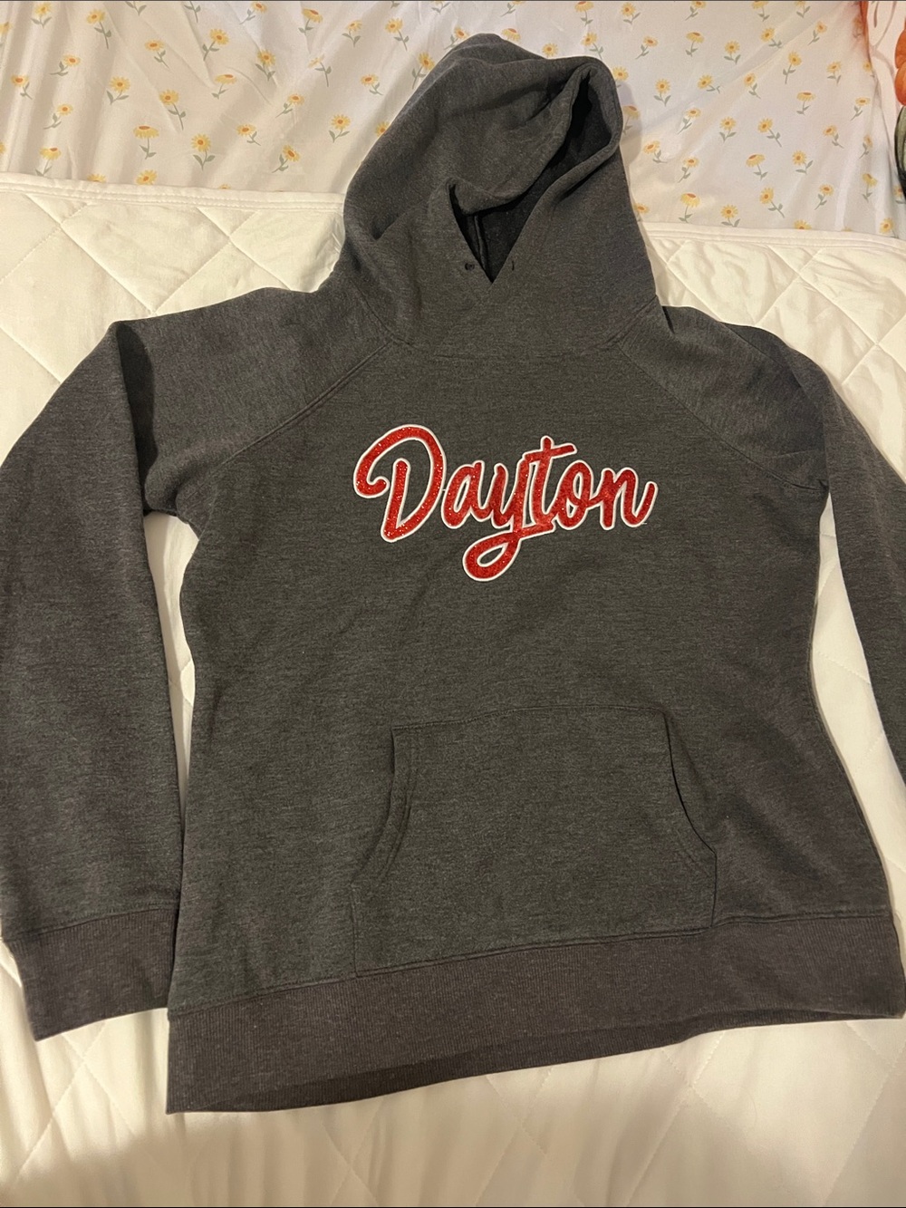 Dayton flyers hoodie